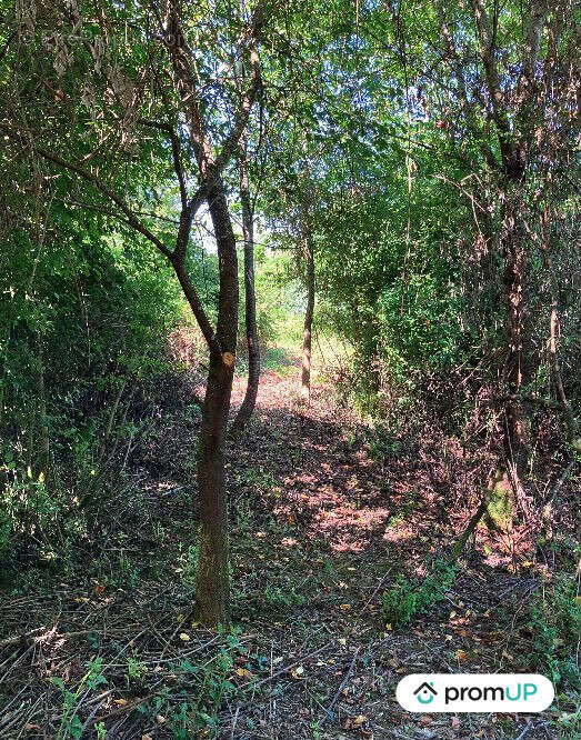 Terrain à LA SOUTERRAINE