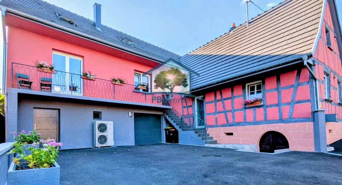 OBERSOULTZBACH (67) - Maison 156m² habitables  + Maison 60m² à rénover avec Cour, Caves, Jardin et Terrasses sur 5.08 ares - photo 7