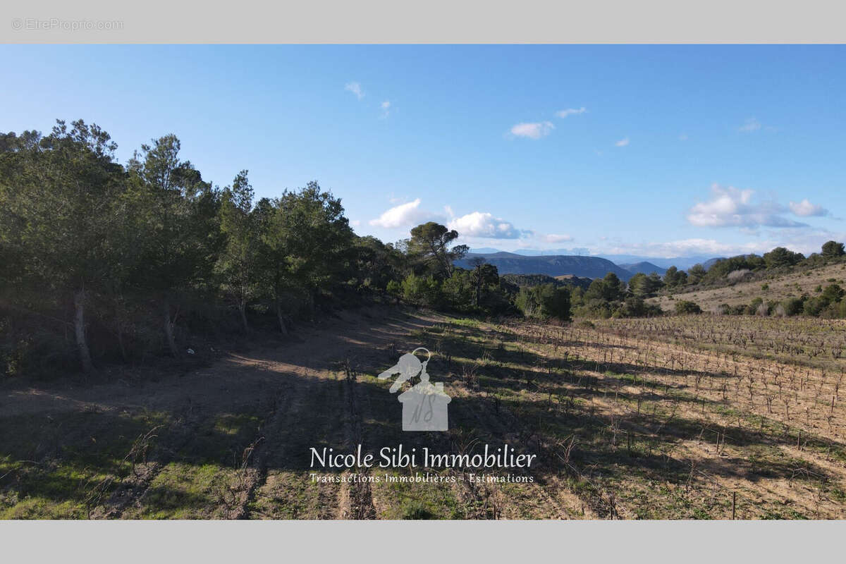 Terrain 41295 m² à Tautavel  - photo 6