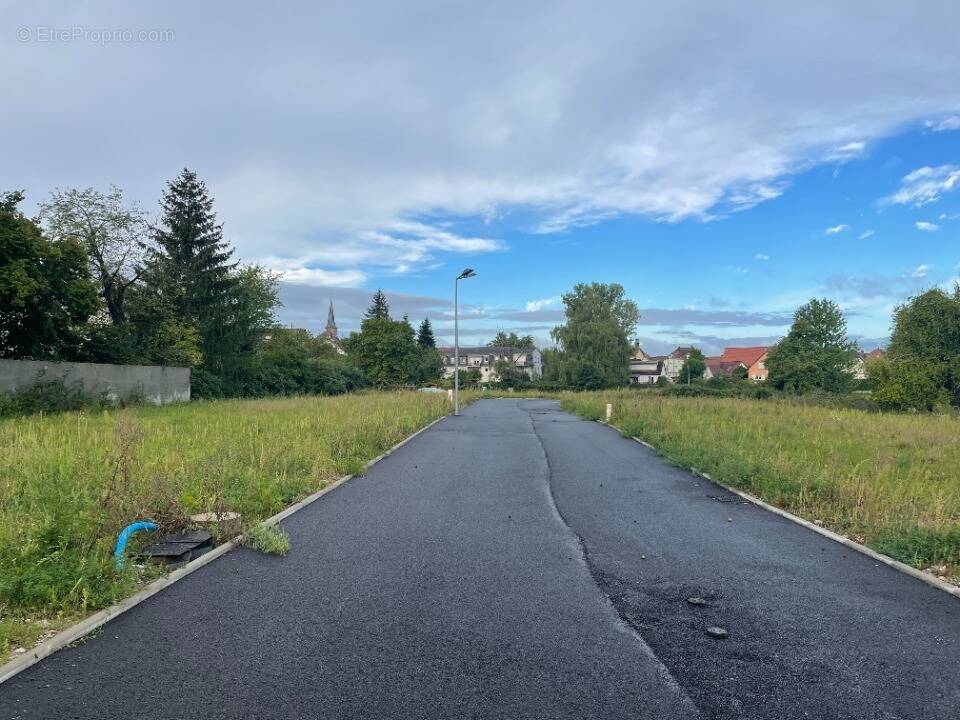 Terrain à DANNEMARIE