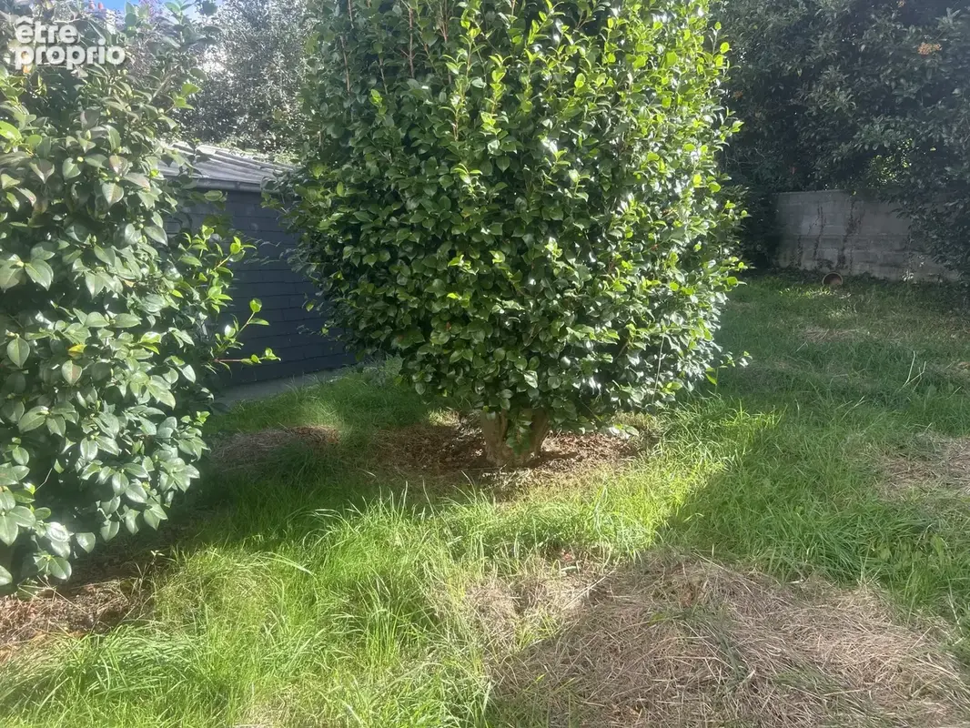 Appartement 1 pièce 16 m² à vendre à Brest (29200) - photo 6