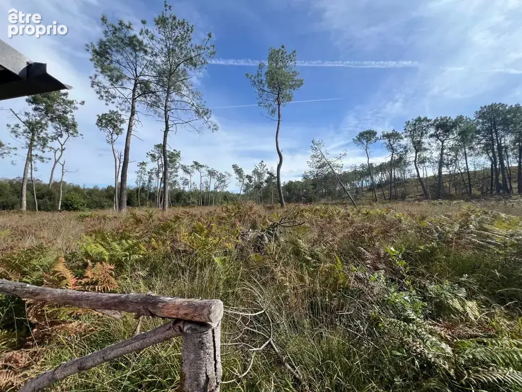 À vendre – argol – finistère – presqu’île de crozon-exceptionnel terrain de loisirs de 40 000 m² - photo 60