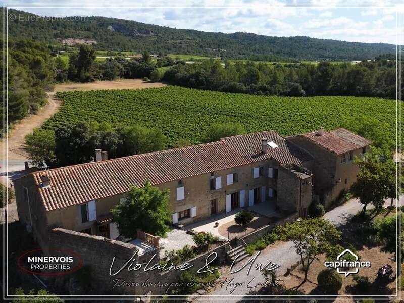 Domaine viticole d'exception de 47 hectares avec mas en pierre, gîtes et vignoble AOC Minervois – Hérault - photo 8