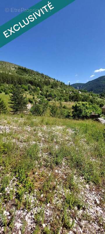 Terrain 3265 m² à Les Vignes  - photo 8