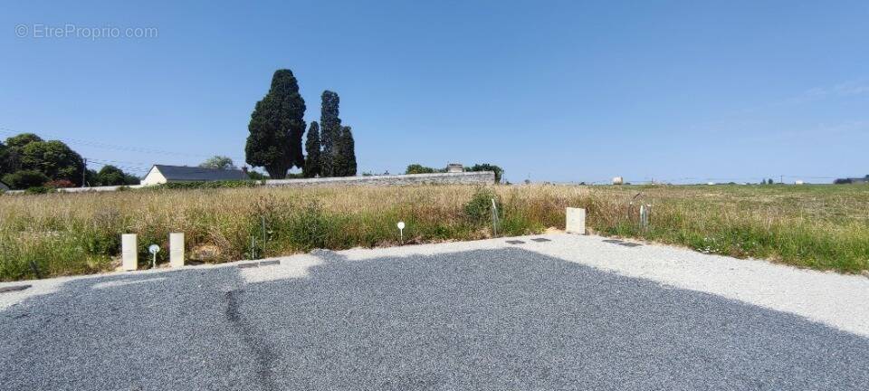 Terrain à MAZE