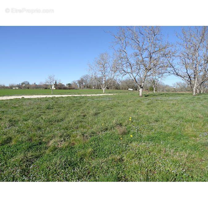 Terrain à LES QUATRE-ROUTES-DU-LOT
