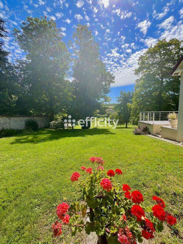 Maison à JONCHERY-SUR-VESLE