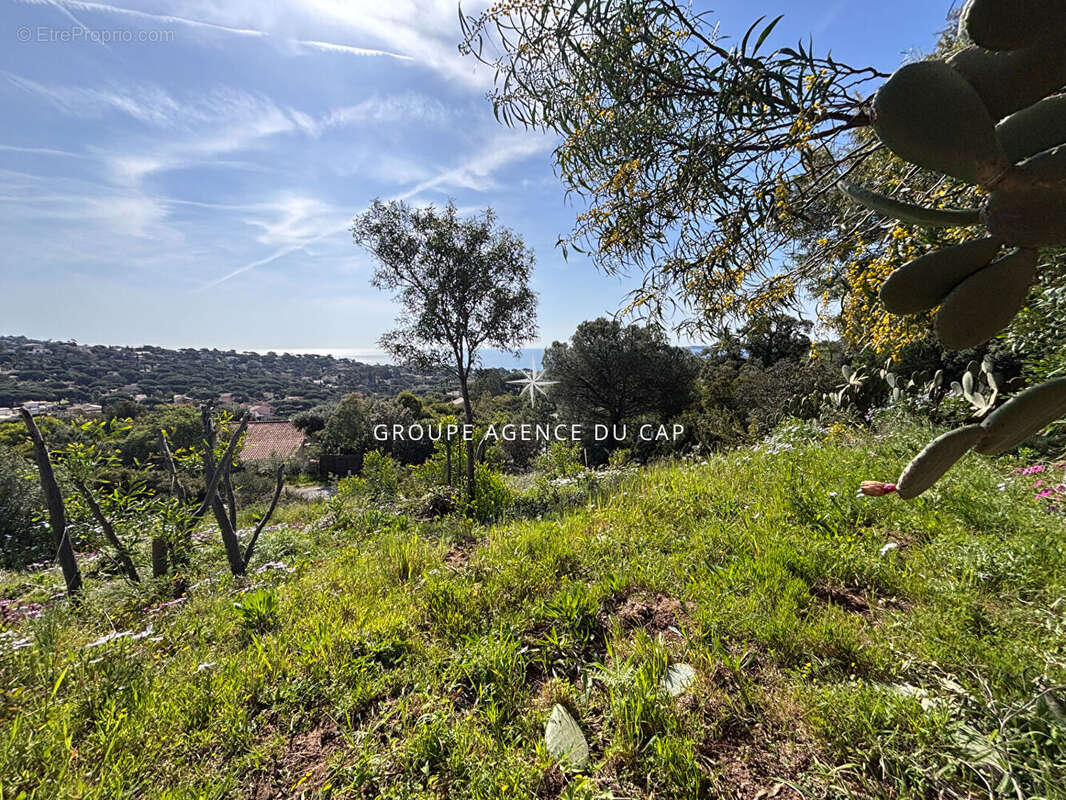 Terrain à LES ISSAMBRES
