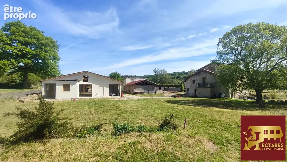 Ancien Moulin 4,3 hectares - photo 12