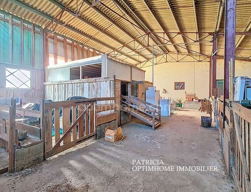 Maison à SAVIGNAC-DE-DURAS