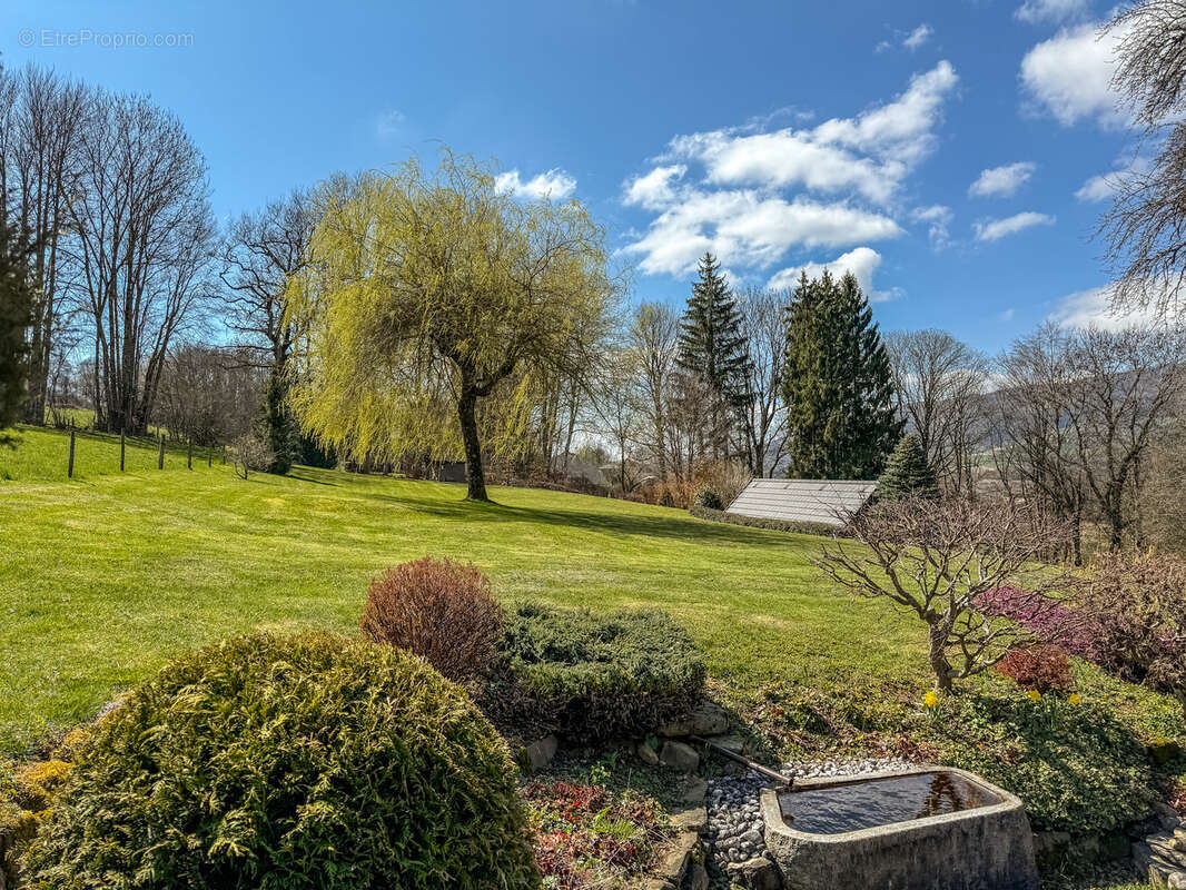Maison à MENTHONNEX-EN-BORNES
