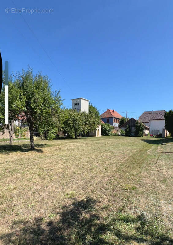 Terrain à OSENBACH