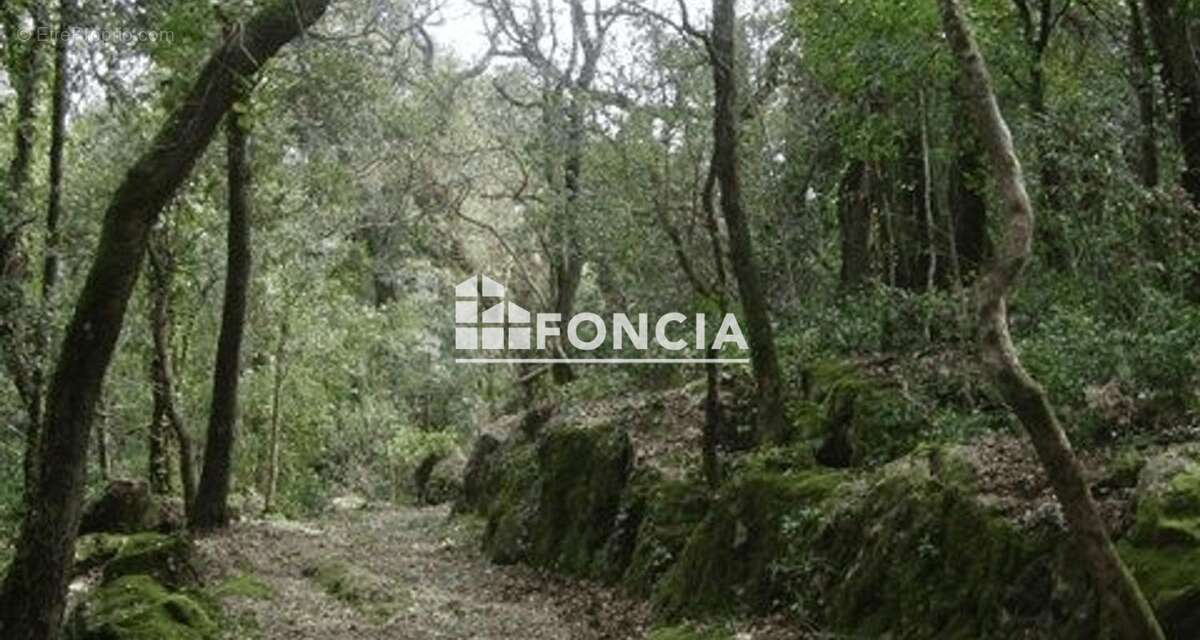 Besse-sur-issole, Terrain naturel non constructible 34 450 m2 - photo 3