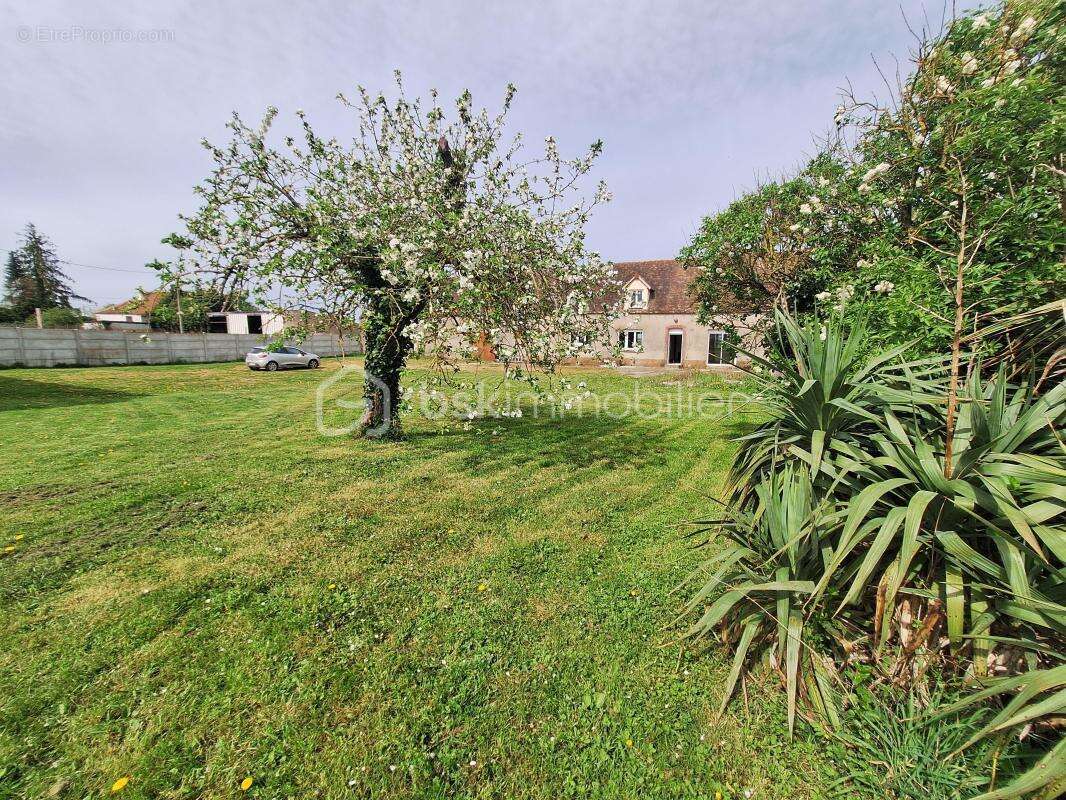 Longère + dépendances - photo 10