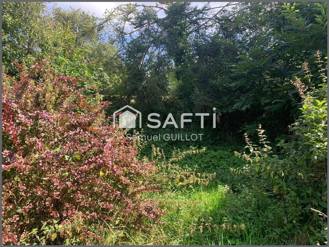 Photo 4 - Maison à SAINT-SAUVEUR-DE-CARROUGES