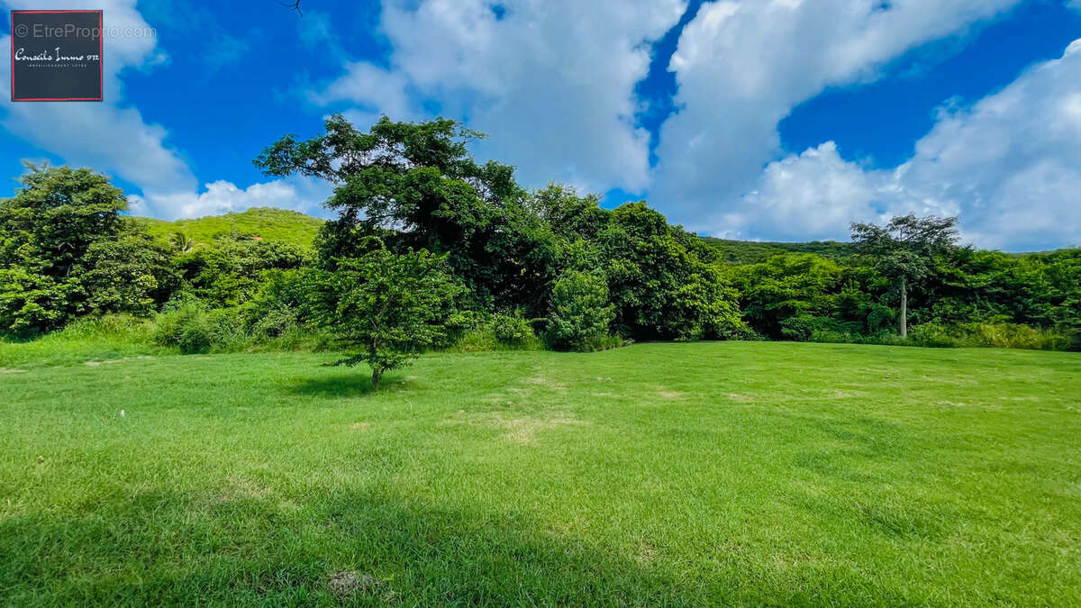 Terrain à SAINTE-ANNE
