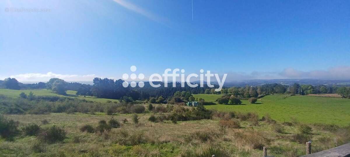 Maison à RUYNES-EN-MARGERIDE