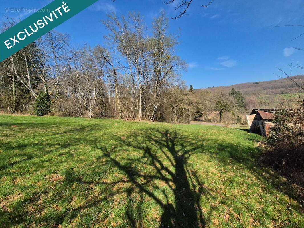 Photo 6 - Maison à ETUEFFONT