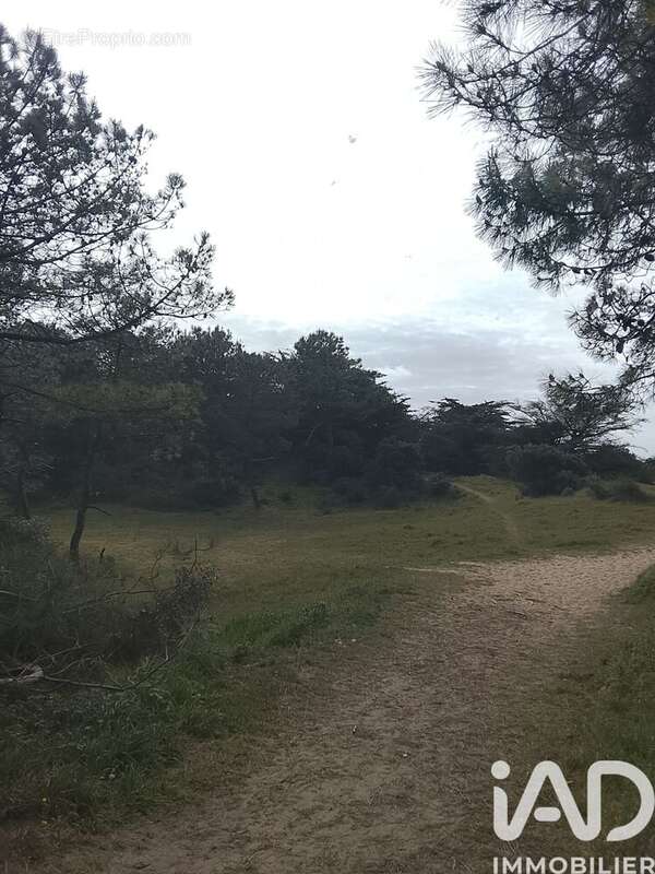 Photo 2 - Appartement à SAINT-HILAIRE-DE-RIEZ