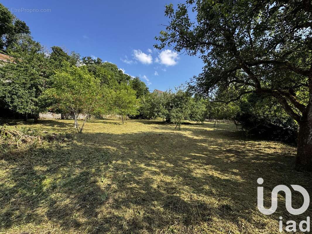 Photo 4 - Terrain à LANGRES