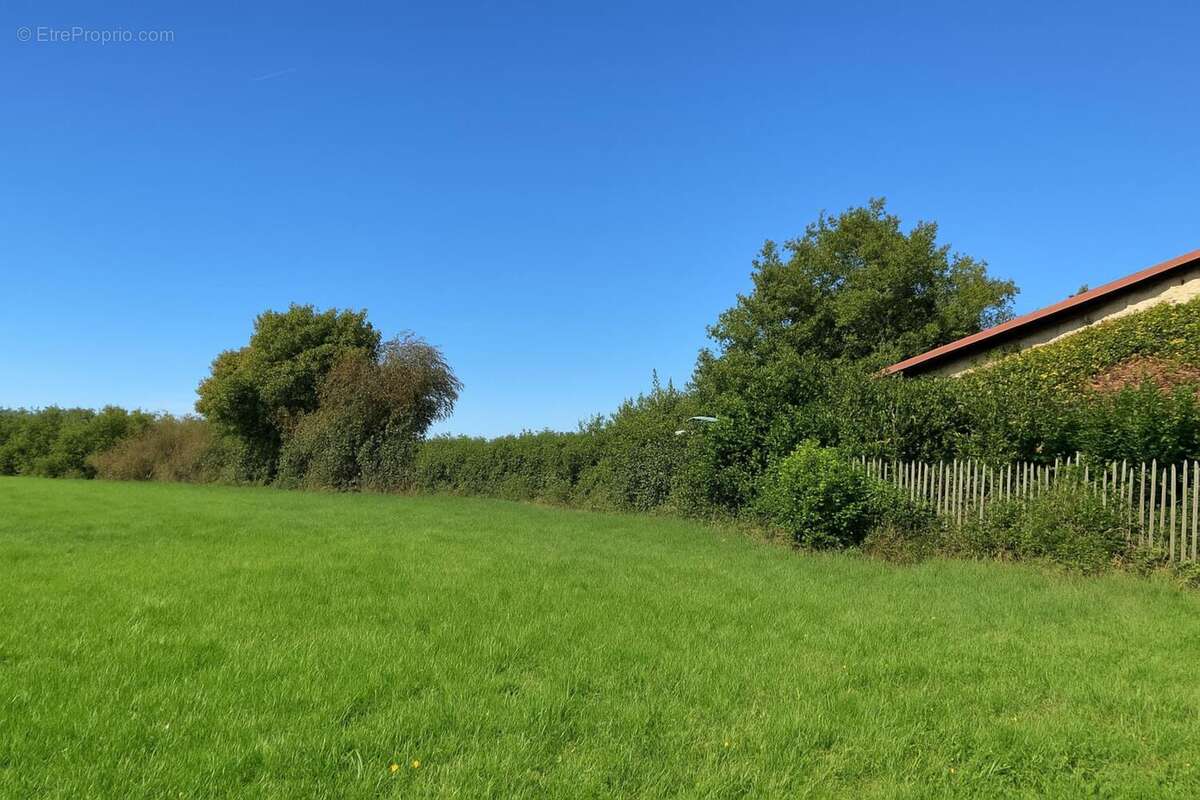 Photo 2 - Terrain à CHARANTONNAY