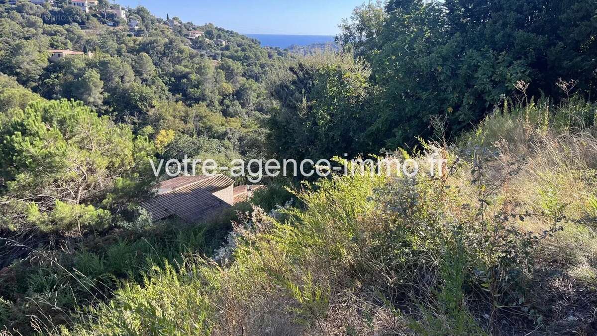 Terrain à NICE