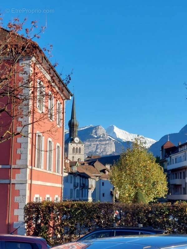 Commerce à LA ROCHE-SUR-FORON