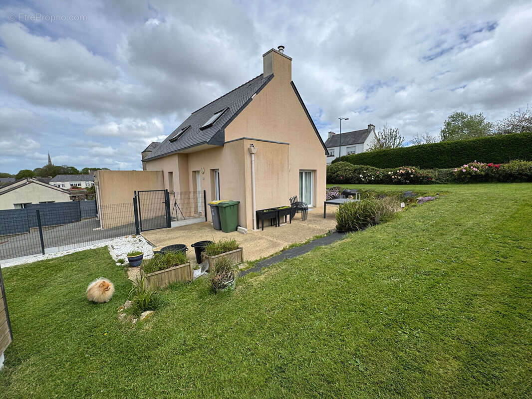 Maison à PLOUZEVEDE