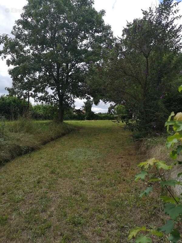 Maison à MARSAC-SUR-L&#039;ISLE
