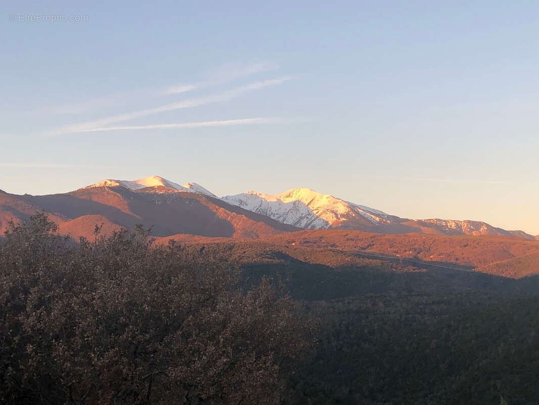 Maison à CALMEILLES