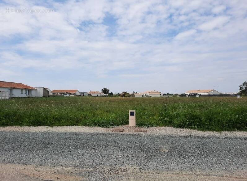 Terrain à TALMONT-SAINT-HILAIRE