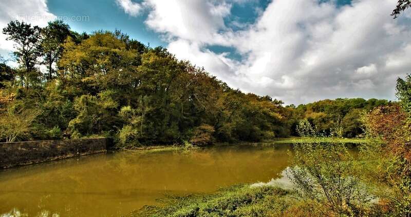 Maison à SAINT-MARTIN-DE-SEIGNANX