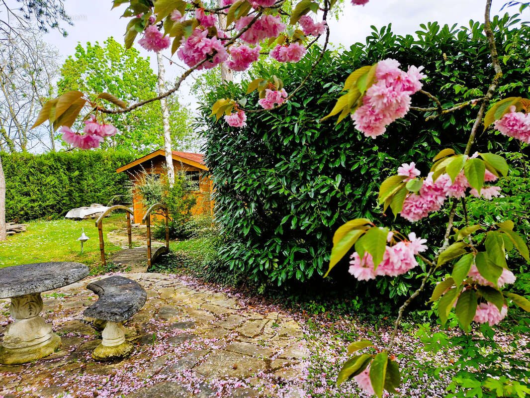 Maison à VILLENNES-SUR-SEINE