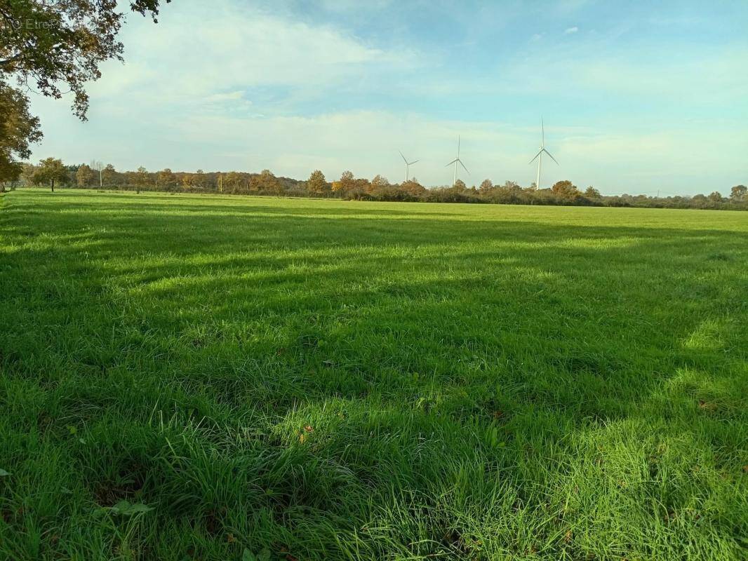 Maison à SAINT-MARS-LA-JAILLE