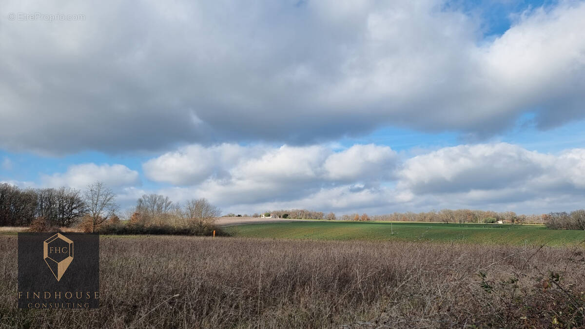 Terrain à L'ISLE-EN-DODON