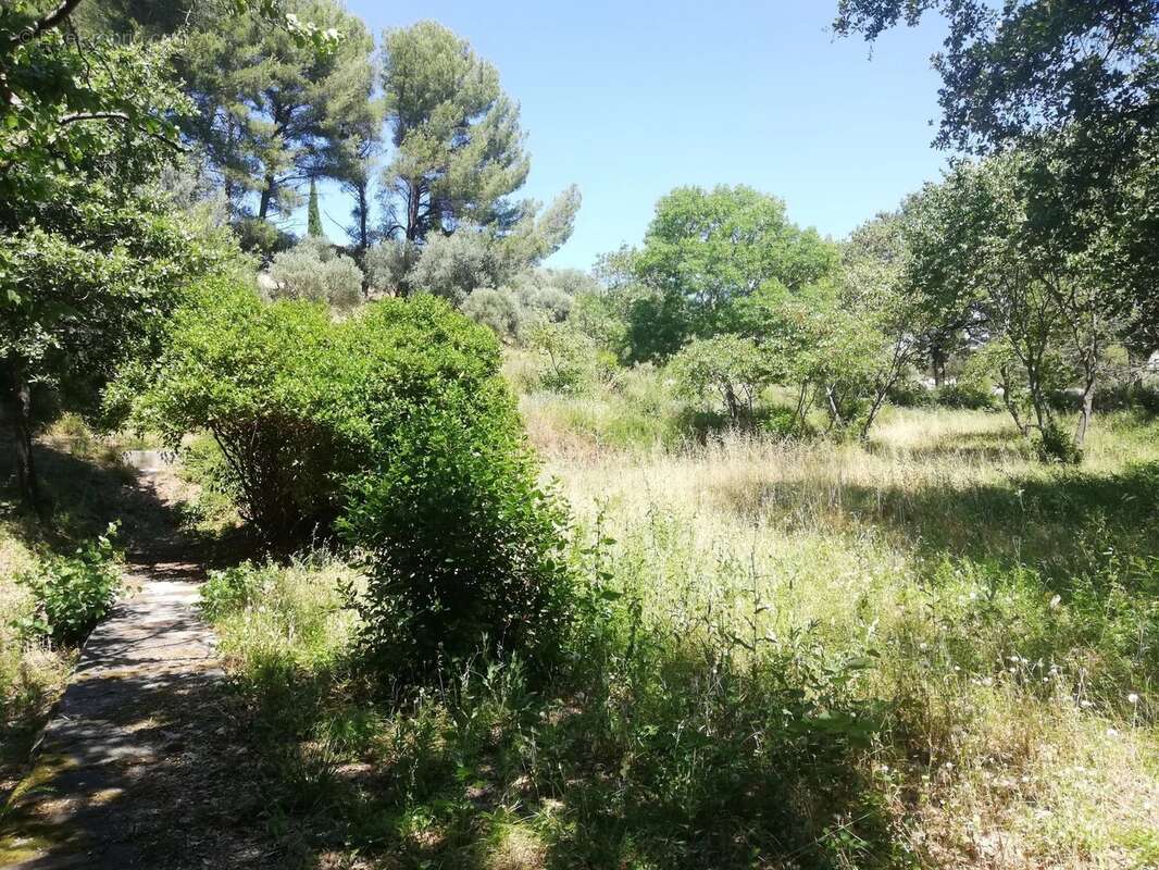 Terrain de 9 000 m² à aubagne - 950 000 € - photo 6