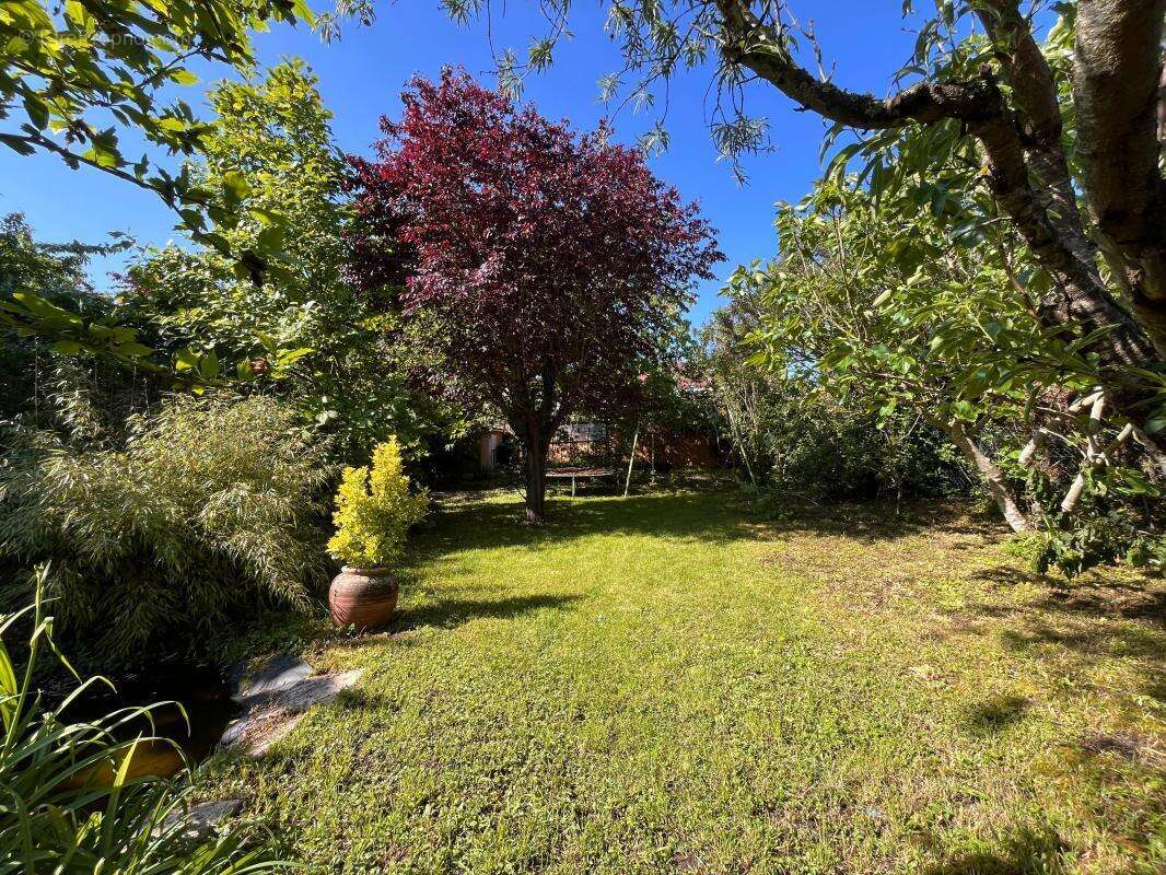 Maison À Vendre - photo 9