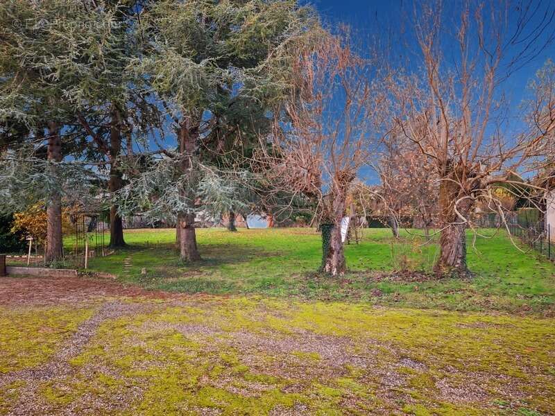 Maison à SAINT-AMOUR