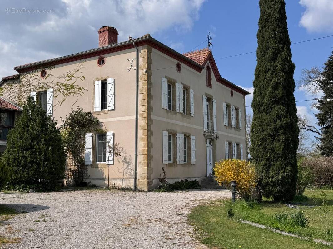 maison de maitre - Maison à MASSEUBE