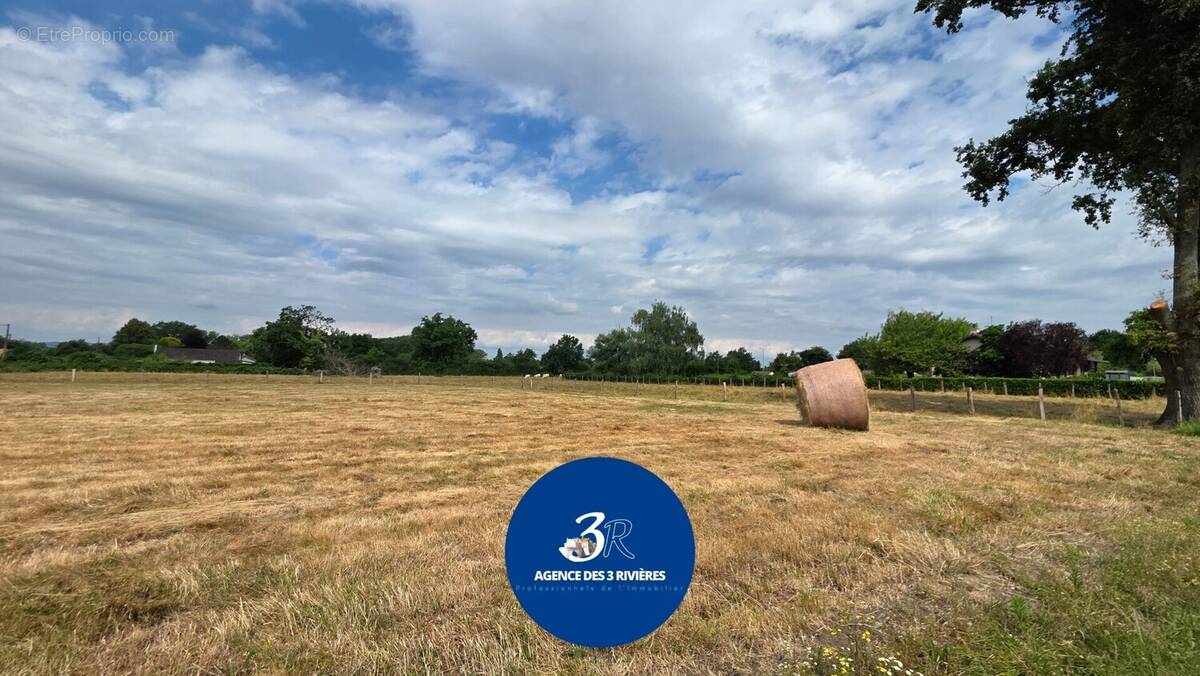 Terrain - Terrain à SIMANDRE