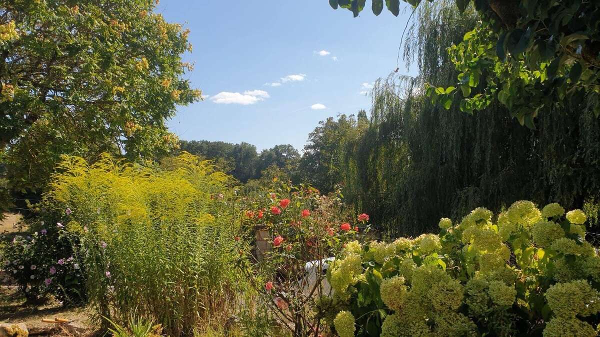 Maison à SAINT-PARDOUX-ET-VIELVIC