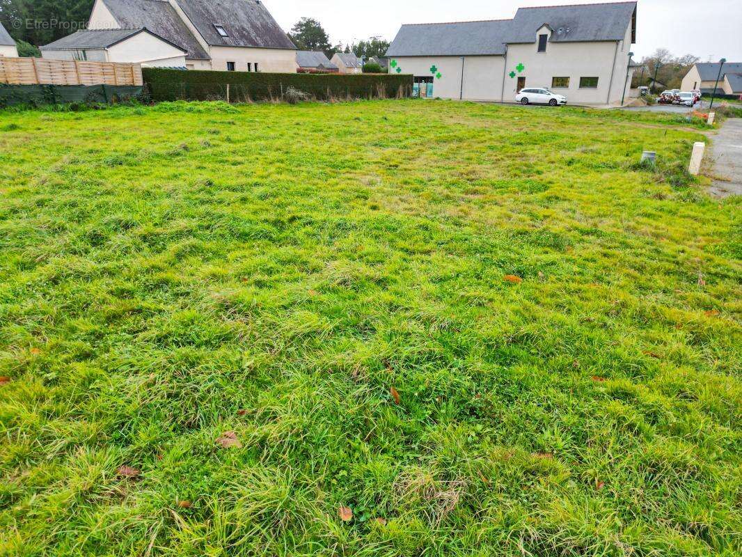 Terrain à LOUVIGNE-DE-BAIS