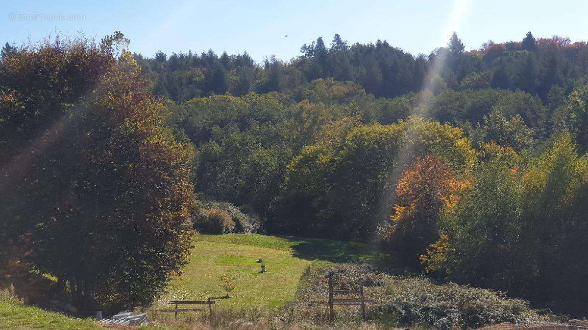 Maison à SAINT-JUST-LE-MARTEL