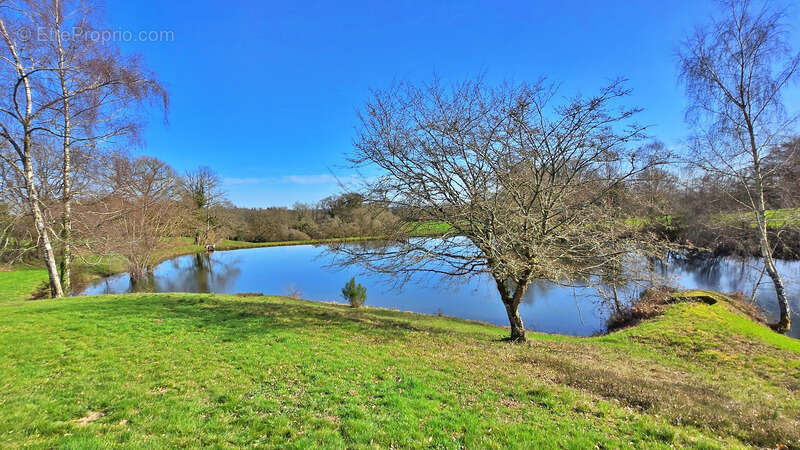 Terrain à CIEUX