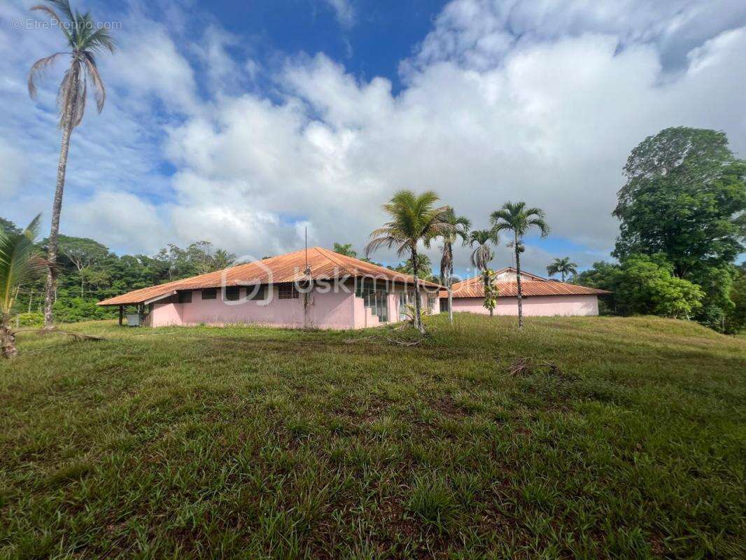 Guyane – ancien centre de rééducation sur 2,58 ha – 1 429 m² bâtis – projets agricoles, médico-sociaux, éducatifs ou collectifs - photo 2