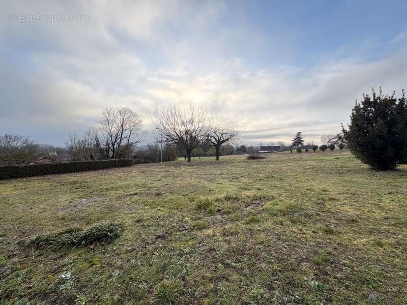 Terrain de plus de 7 200 m² avec près de 4 800 m² exploitables – Rare sur le secteur ! - photo 3