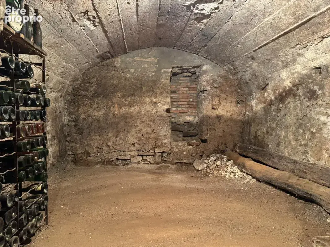 Maison de caractère du XIXe siècle (1850) sur une parcelle de 466 m²  BLAINVILLE SUR L'EAU (54) - photo 18