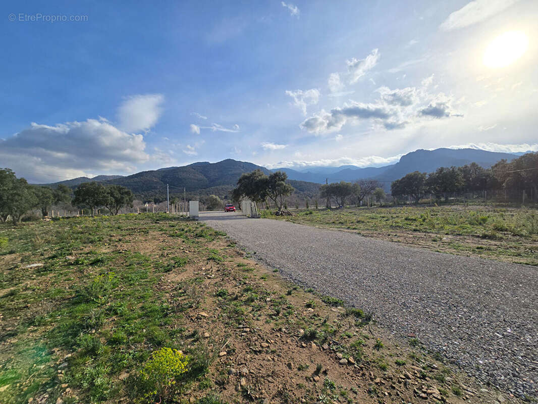 Terrain Argeles Sur Mer 44784 m2 - photo 2