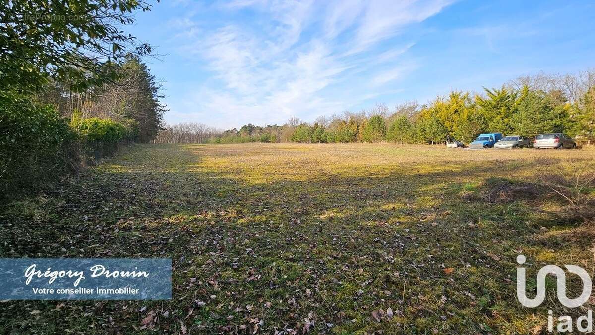 Photo 4 - Maison à BOISSY-AUX-CAILLES
