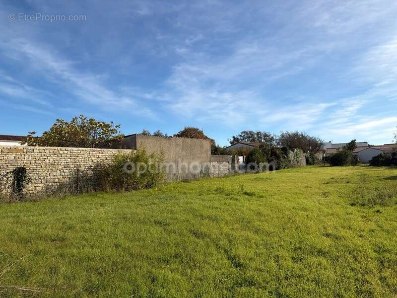 Terrain à SAINTE-MARIE-DE-RE